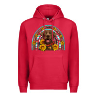 Cardinal chocolate labrador rainbow Premium Hoodie - Artiststas