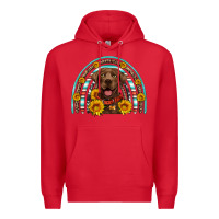 Red chocolate labrador rainbow Premium Hoodie - Artiststas
