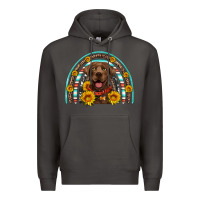 Smoke chocolate labrador rainbow Premium Hoodie - Artiststas
