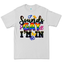 Sounds Gay Im In Premium Tee | Teevron