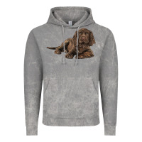 Sussex Spaniels Llustrations Vintage Hoodie | Teevron