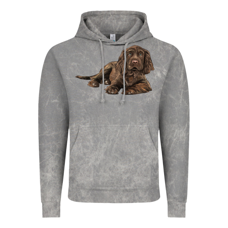 Sussex Spaniels Llustrations Vintage Hoodie by LillyAllenDesigns | Teevron