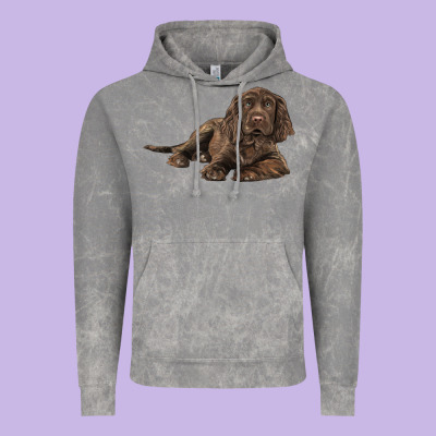 Sussex Spaniels Llustrations Vintage Hoodie Designed By Lillyallendesigns