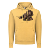 Vintage Mustard Sussex Spaniels llustrations Vintage Hoodie - LillyAllenDesigns
