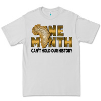 Dove Grey One month can't hold our history Premium Tee - FaDigitalArtStudio