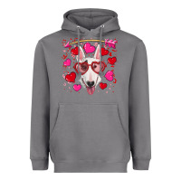 Storm Valentine's day  bull terrier Heavyweight Hoodie - RanaPortraitStore