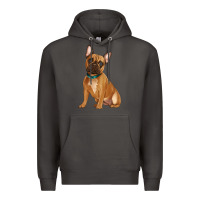 Smoke french bulldog Premium Hoodie - Artiststas