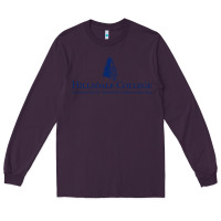 Plum Hillsdale College Long Sleeve Tee - artisFamous