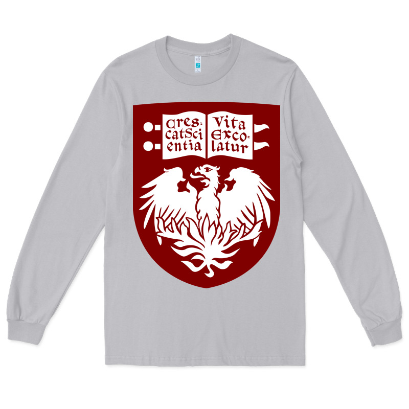 College Of Chicago Long Sleeve Tee by artisFamous | Teevron