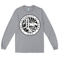 Heather Grey university of idaho Long Sleeve Tee - artisFamous