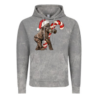 Cloud Rock Christmas Candy Cane Baby Gorilla Vintage Hoodie - LillyAllenDesigns