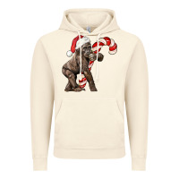 Vintage Artic Christmas Candy Cane Baby Gorilla Vintage Hoodie - LillyAllenDesigns