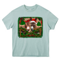 Arona christmas donkeys Heavy Core Tee - Jasminsmagicworld