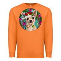 Carrot Christmas Chihuahua Premium Sweatshirt - RanaPortraitStore