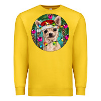 Lemon Christmas Chihuahua Premium Sweatshirt - RanaPortraitStore