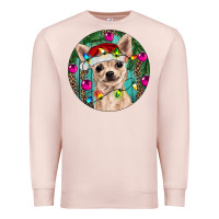 Pale Pink Christmas Chihuahua Premium Sweatshirt - RanaPortraitStore