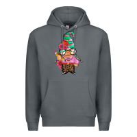 Rock teacher gnome Premium Hoodie - Artiststas