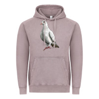 Vintage Zinc Dove Vintage Hoodie - LillyAllenDesigns