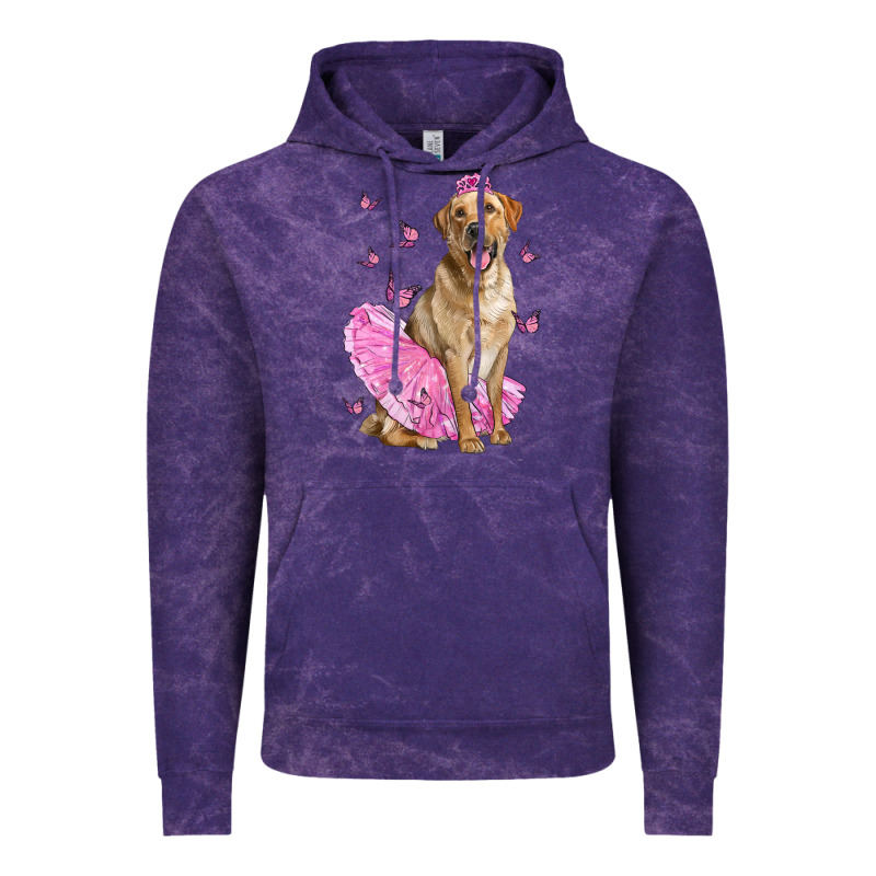 Labrador Retriever Dog With Tutu Vintage Hoodie by LillyAllenDesigns | Teevron