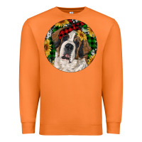Carrot Christmas St. Bernard Premium Sweatshirt - RanaPortraitStore