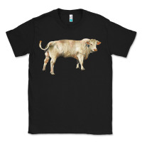 Black charolais bull Classic Tee - RanaPortraitStore