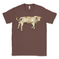 Chestnut charolais bull Classic Tee - RanaPortraitStore