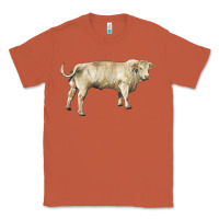 Copper charolais bull Classic Tee - RanaPortraitStore