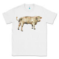 White charolais bull Classic Tee - RanaPortraitStore