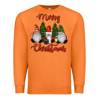 Carrot Merry Christmas Gnomes Premium Sweatshirt - RanaPortraitStore