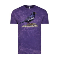 Cloud Purple Lark Bunting Colorado State Bird Vintage Tee - RanaPortraitStore