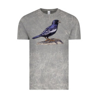 Cloud Rock Lark Bunting Colorado State Bird Vintage Tee - RanaPortraitStore