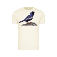 Vintage Arctic Lark Bunting Colorado State Bird Vintage Tee - RanaPortraitStore