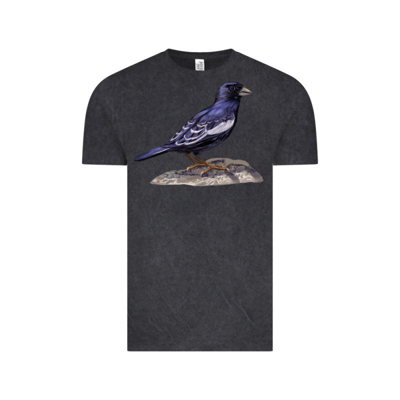 Lark Bunting Colorado State Bird Vintage Tee by RanaPortraitStore | Teevron