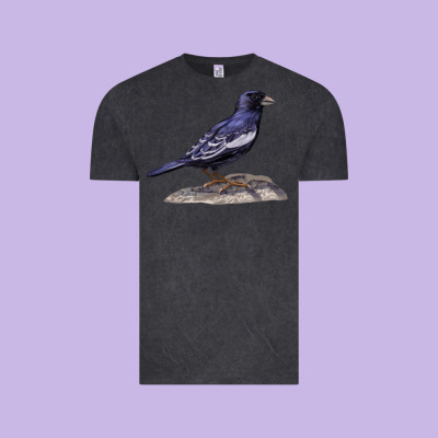 Lark Bunting Colorado State Bird Vintage Tee Designed By Ranaportraitstore