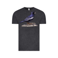 Vintage Black Lark Bunting Colorado State Bird Vintage Tee - RanaPortraitStore