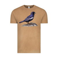 Vintage Camel Lark Bunting Colorado State Bird Vintage Tee - RanaPortraitStore
