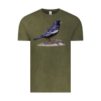 Vintage Olive Lark Bunting Colorado State Bird Vintage Tee - RanaPortraitStore
