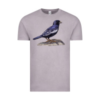 Vintage Zinc Lark Bunting Colorado State Bird Vintage Tee - RanaPortraitStore
