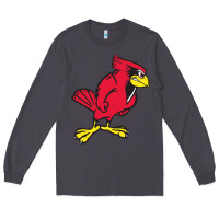 Smoke illinois state redbirds Long Sleeve Tee - linhVisuals