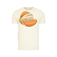Vintage Arctic colorado cantaloupe png Vintage Tee - RanaPortraitStore