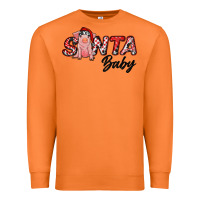 Carrot Christmas Santa Baby Premium Sweatshirt - RanaPortraitStore