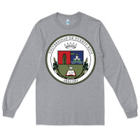 Heather Grey Upr At Arecibo Long Sleeve Tee - linhVisuals
