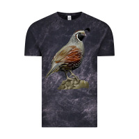 Cloud Black California Quail Bird Vintage Tee - RanaPortraitStore