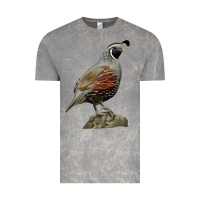 Cloud Rock California Quail Bird Vintage Tee - RanaPortraitStore
