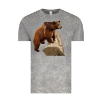 Cloud Rock California Grizzly Bear Vintage Tee - RanaPortraitStore