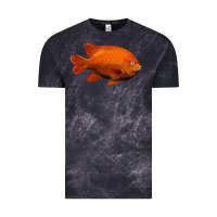 Cloud Black California Garibaldi Fish Vintage Tee - RanaPortraitStore