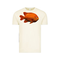 Vintage Arctic California Garibaldi Fish Vintage Tee - RanaPortraitStore
