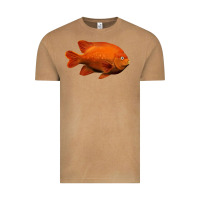 Vintage Camel California Garibaldi Fish Vintage Tee - RanaPortraitStore