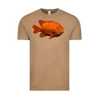 California Garibaldi Fish Vintage Tee | Teevron