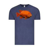 Vintage Denim California Garibaldi Fish Vintage Tee - RanaPortraitStore